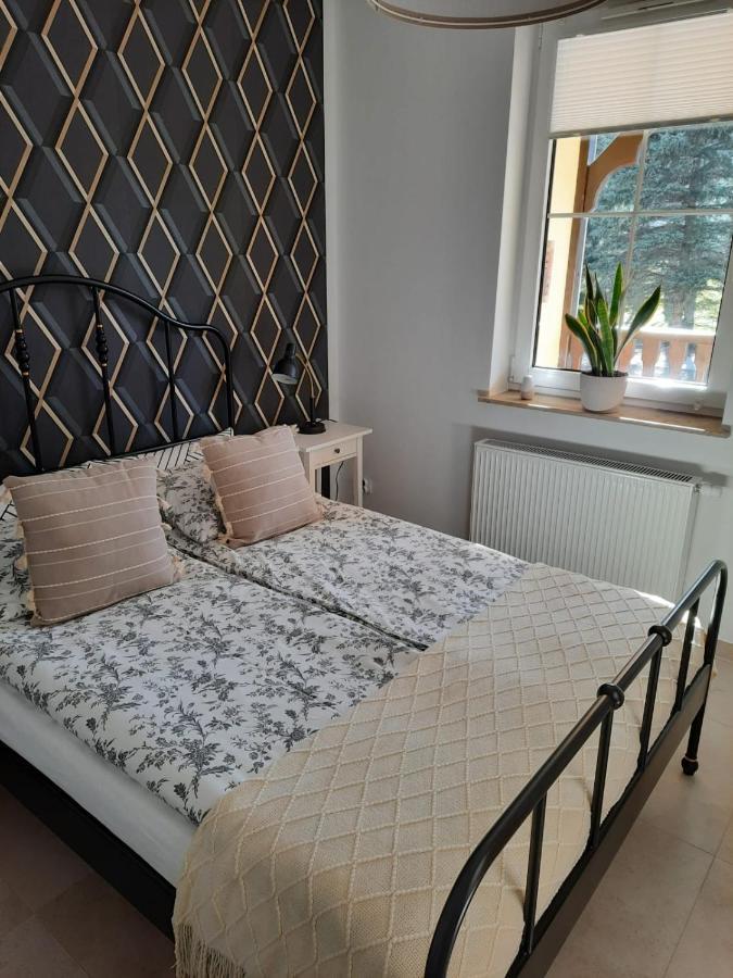 Apartament Felina Swieradow-Zdroj Ngoại thất bức ảnh